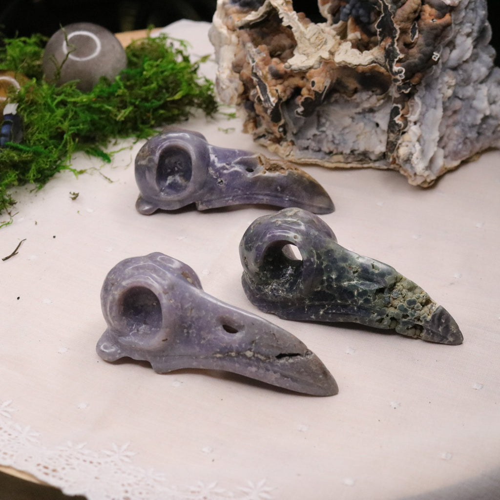 Raven Skull ~ Carved from Grape Agate ~ Spooky Carvings for Mystical Altar ~ Indonesia - Earth Family Crystals