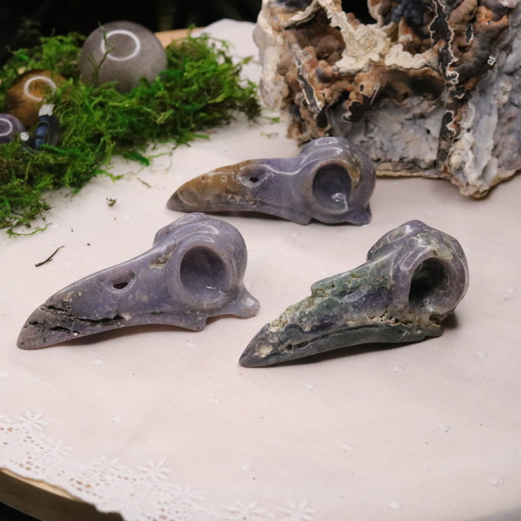Raven Skull ~ Carved from Grape Agate ~ Spooky Carvings for Mystical Altar ~ Indonesia - Earth Family Crystals
