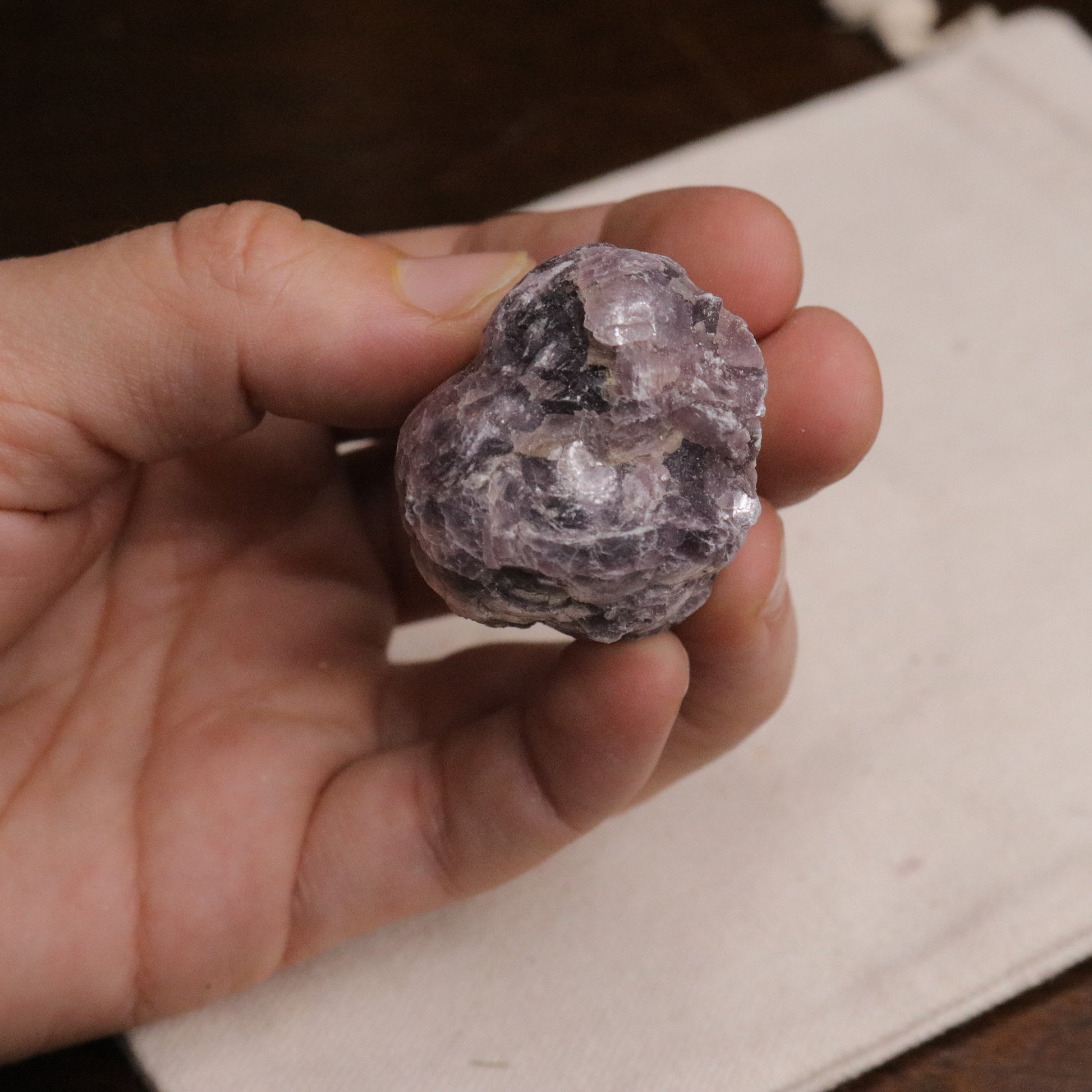 Adorable Coconut Mica Specimen ~ Lepidolite Mica - Earth Family Crystals