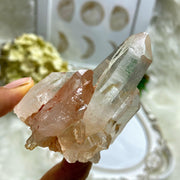Rare~ Rosy Pink Samadhi Himalayan Quartz Cluster With Self Healing - Earth Family Crystals