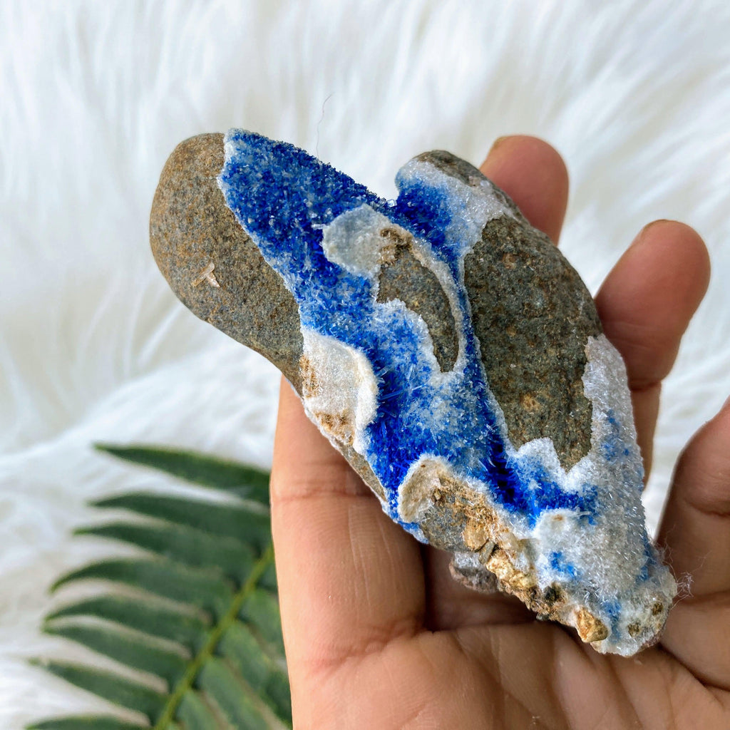 Very Rare Variety! Gemmy Dark Blue Azurite Druzy on Rock matrix from Mineral Creek, Arizona - Earth Family Crystals