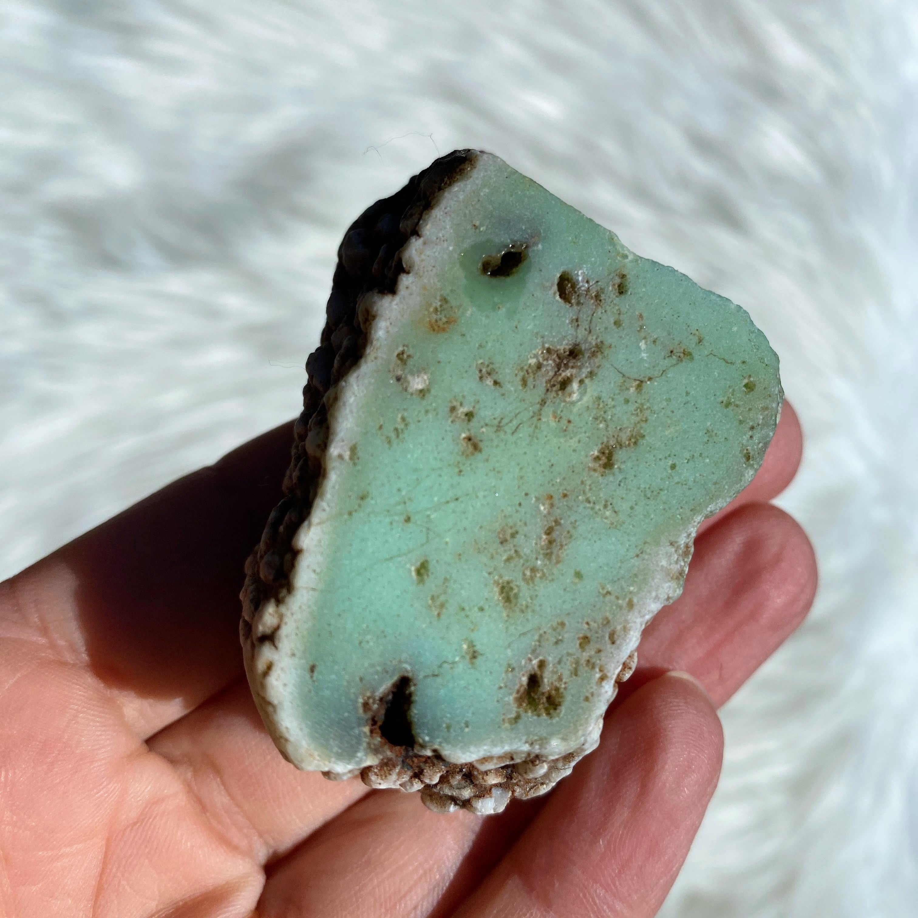 Australian Chrysoprase Natural Free Form specimen #1 - Earth Family Crystals