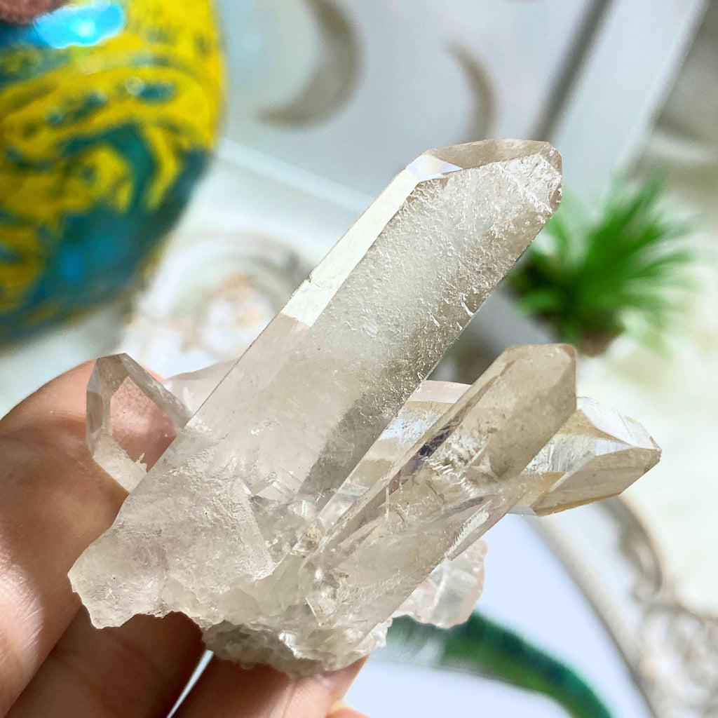 Reserved for Gin D NEW FIND! Incredible Tangerine & Clear Quartz Cluster From Zeca De Souza, Brazil - Earth Family Crystals