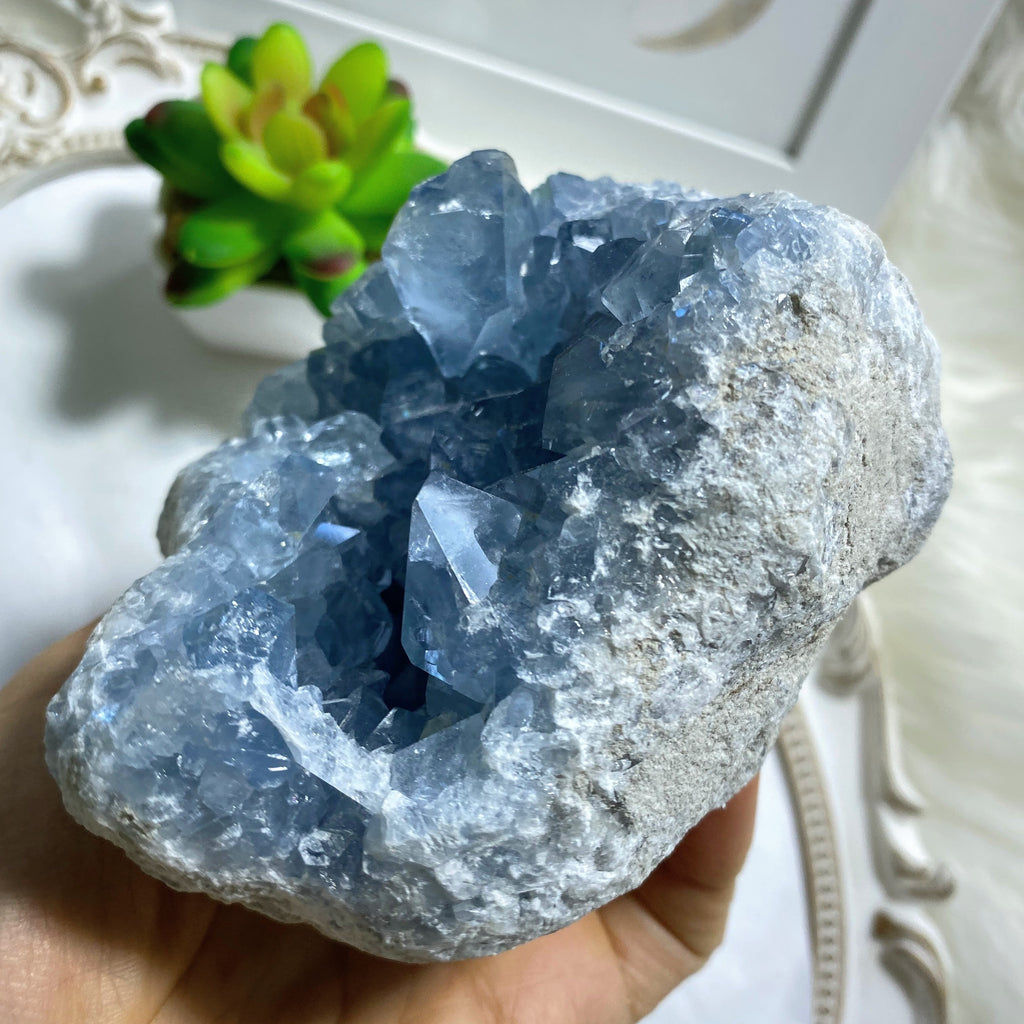 1 KG XL Celestite Sweet Blue Natural Druzy Display Geode From Madagascar - Earth Family Crystals