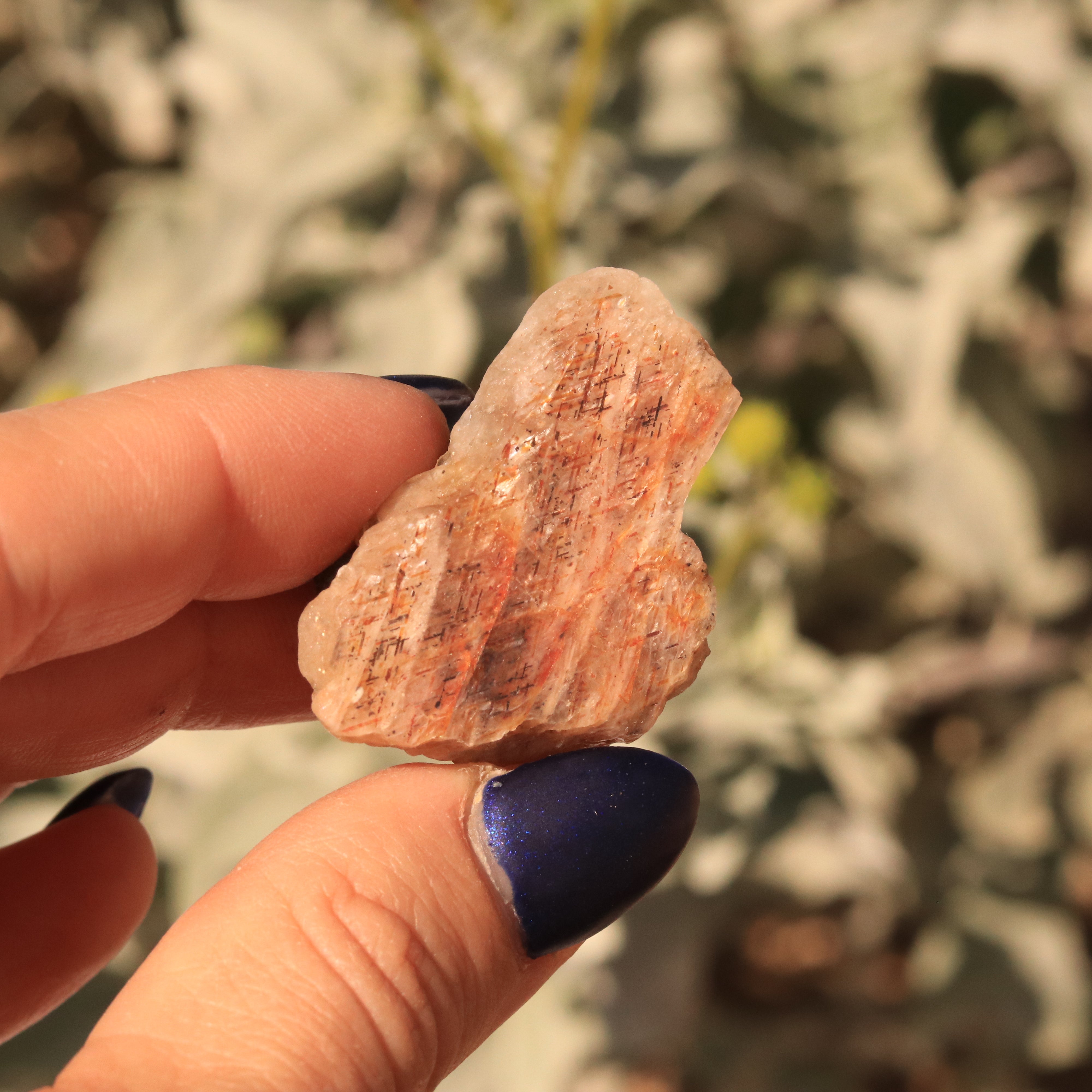 16.4 CT Rare Australian Rainbow Lattice Sunstone Moonstone Collector's Gemstone