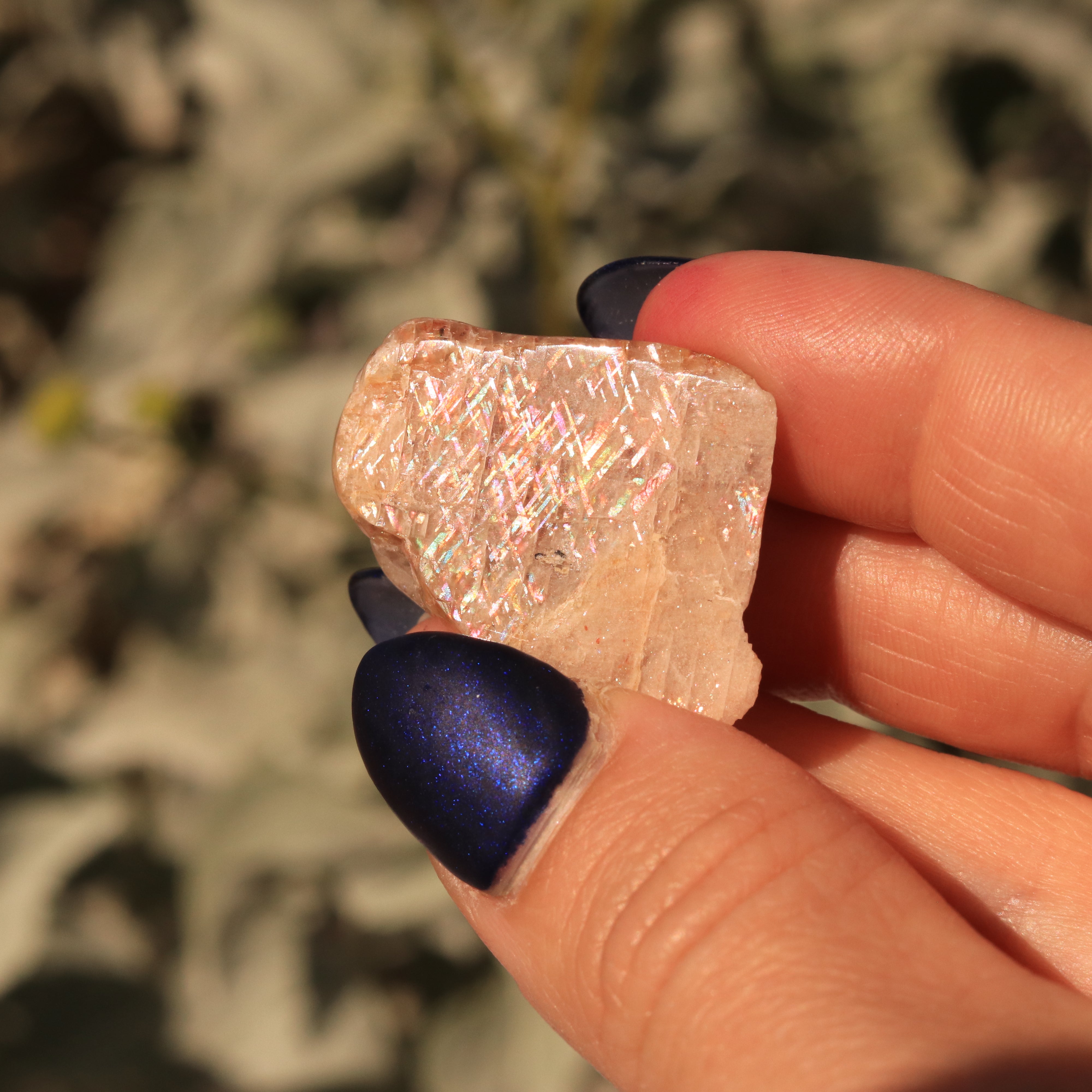 Rainbow Lattice Sunstone 10 CT Polished Collector's Gem