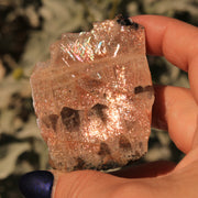 61 CT Very Rare Rainbow Lattice Sunstone Moonstone Collectors Specimen