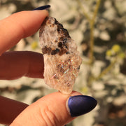 Very Rare  13 CT Rainbow Lattice Sunstone Moonstone Collectors Gem from Australia