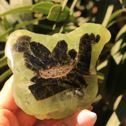 Partially Polished Botryoidal Prehnite Specimen with Epidote from Malawi, Africa