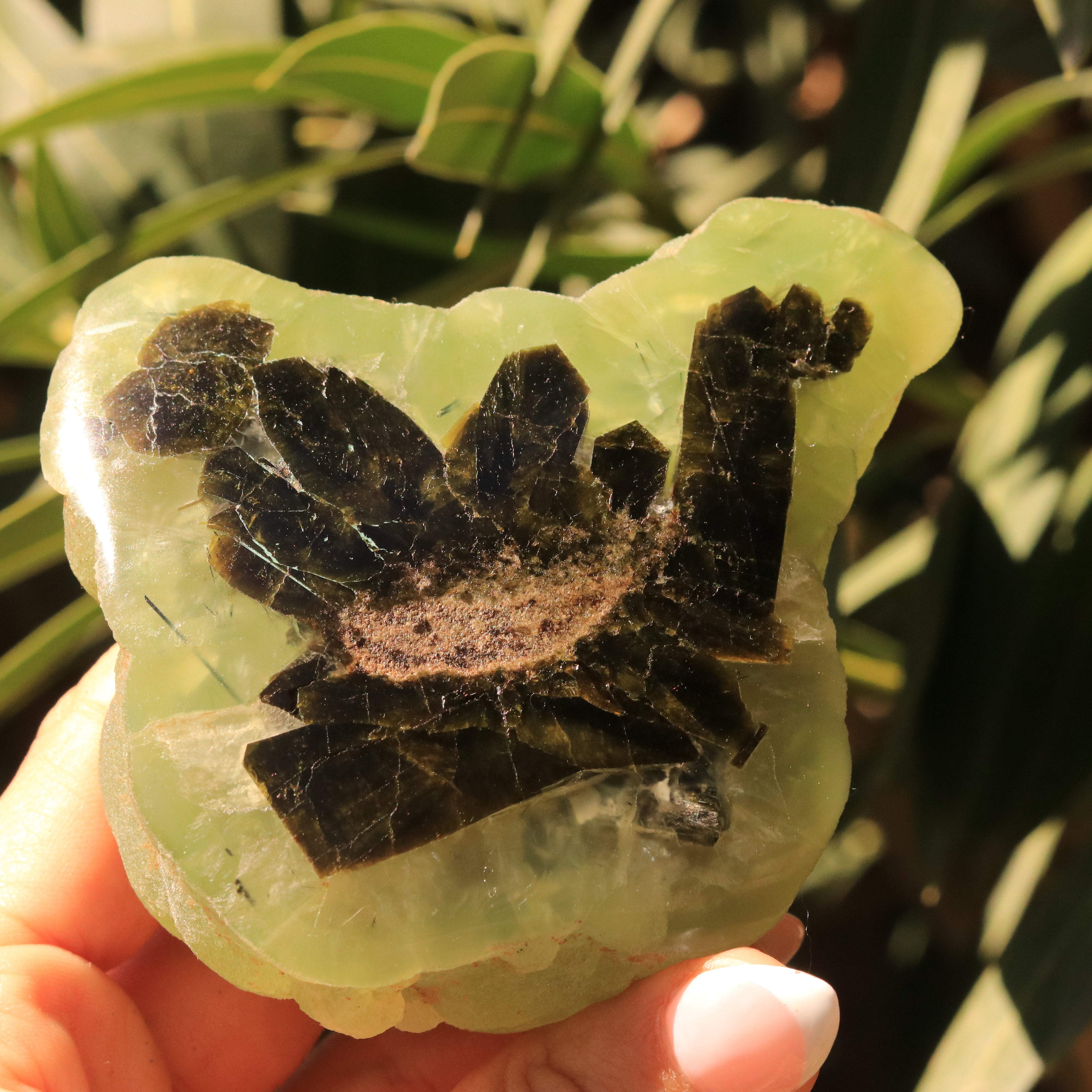 Partially Polished Botryoidal Prehnite Specimen with Epidote from Malawi, Africa