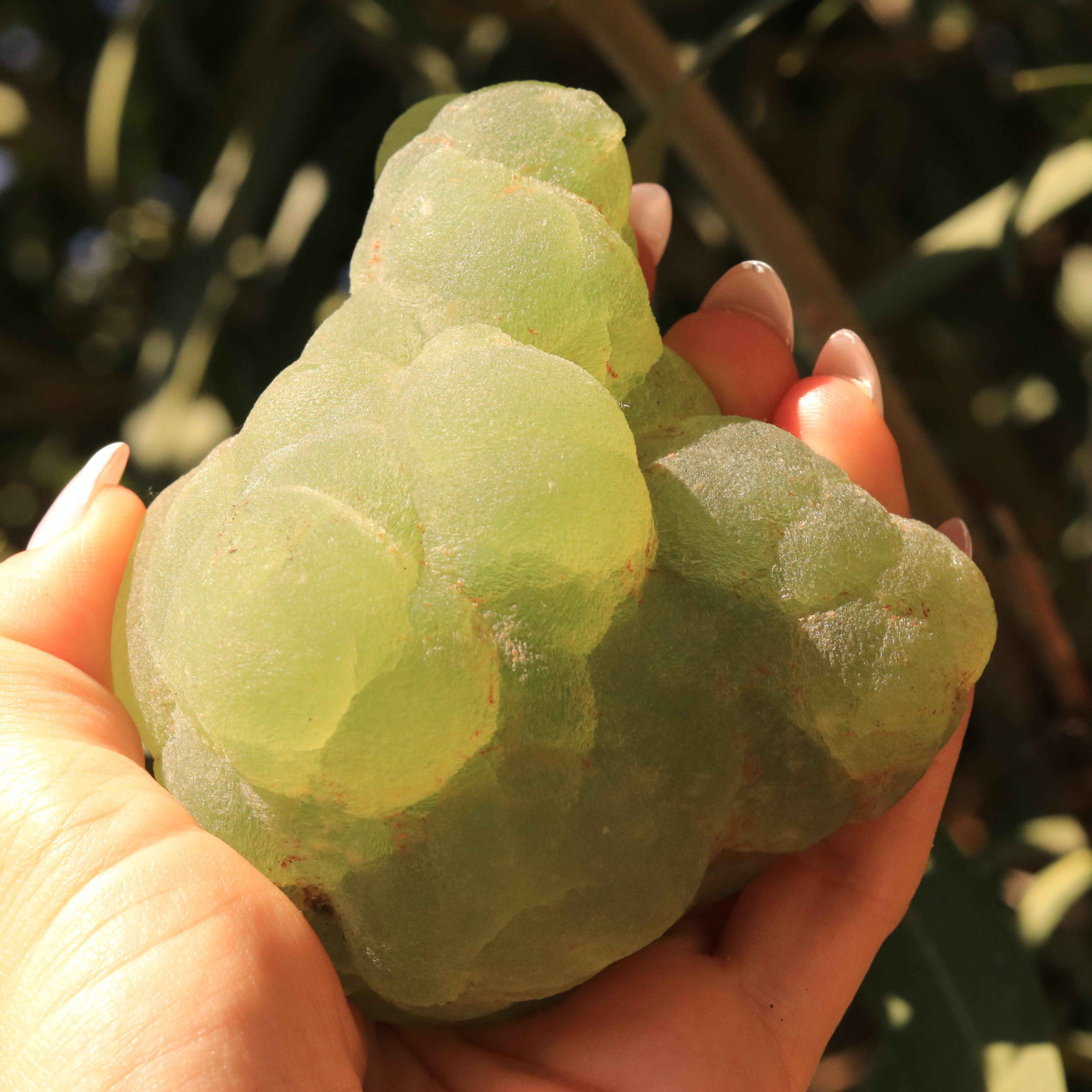 Partially Polished Botryoidal Prehnite Specimen with Epidote from Malawi, Africa