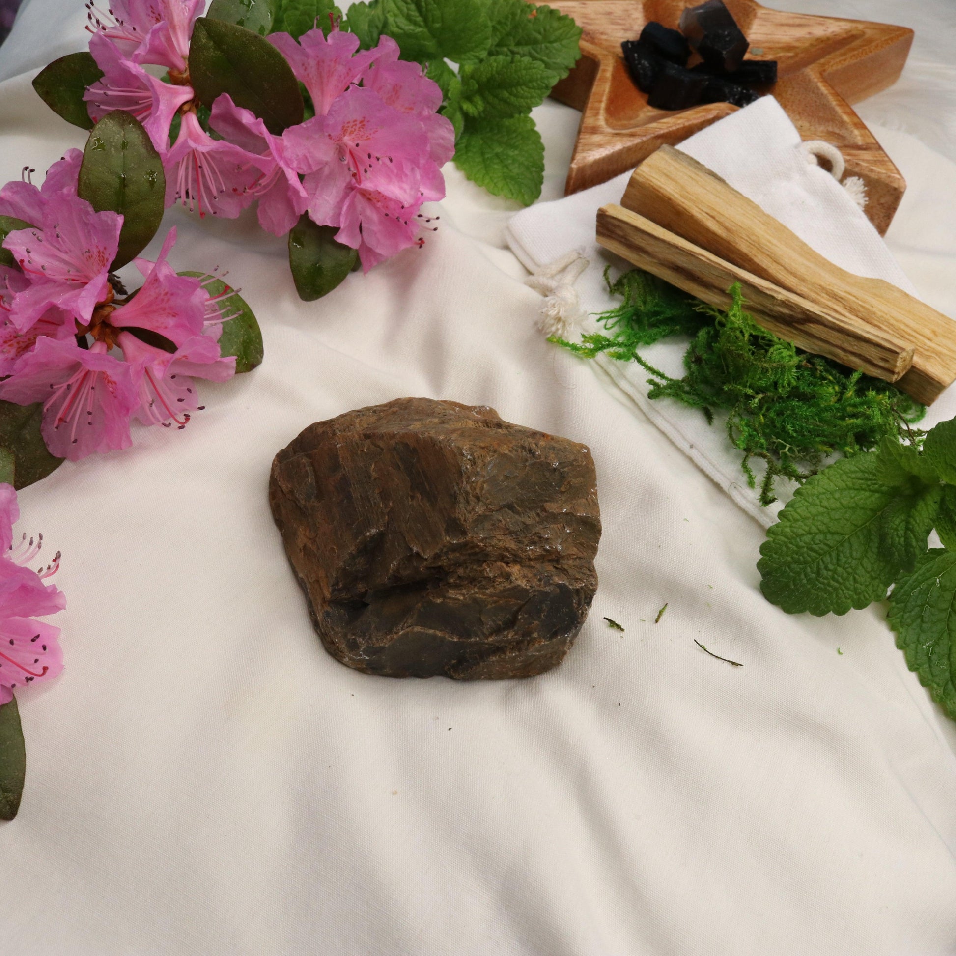 Natural Petrified Wood Specimen ~ Grounding Energy - Earth Family Crystals