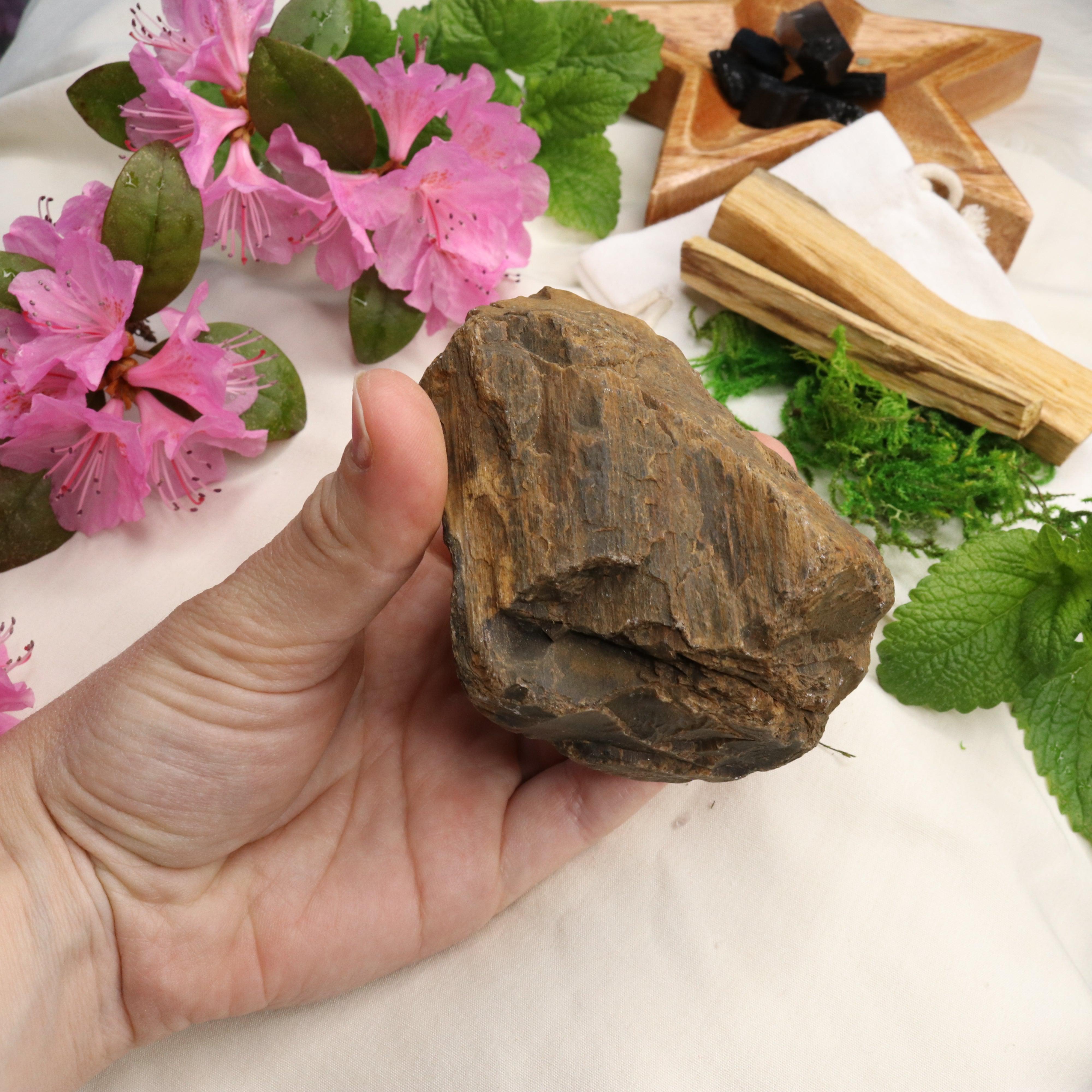 Natural Petrified Wood Specimen ~ Grounding Energy - Earth Family Crystals