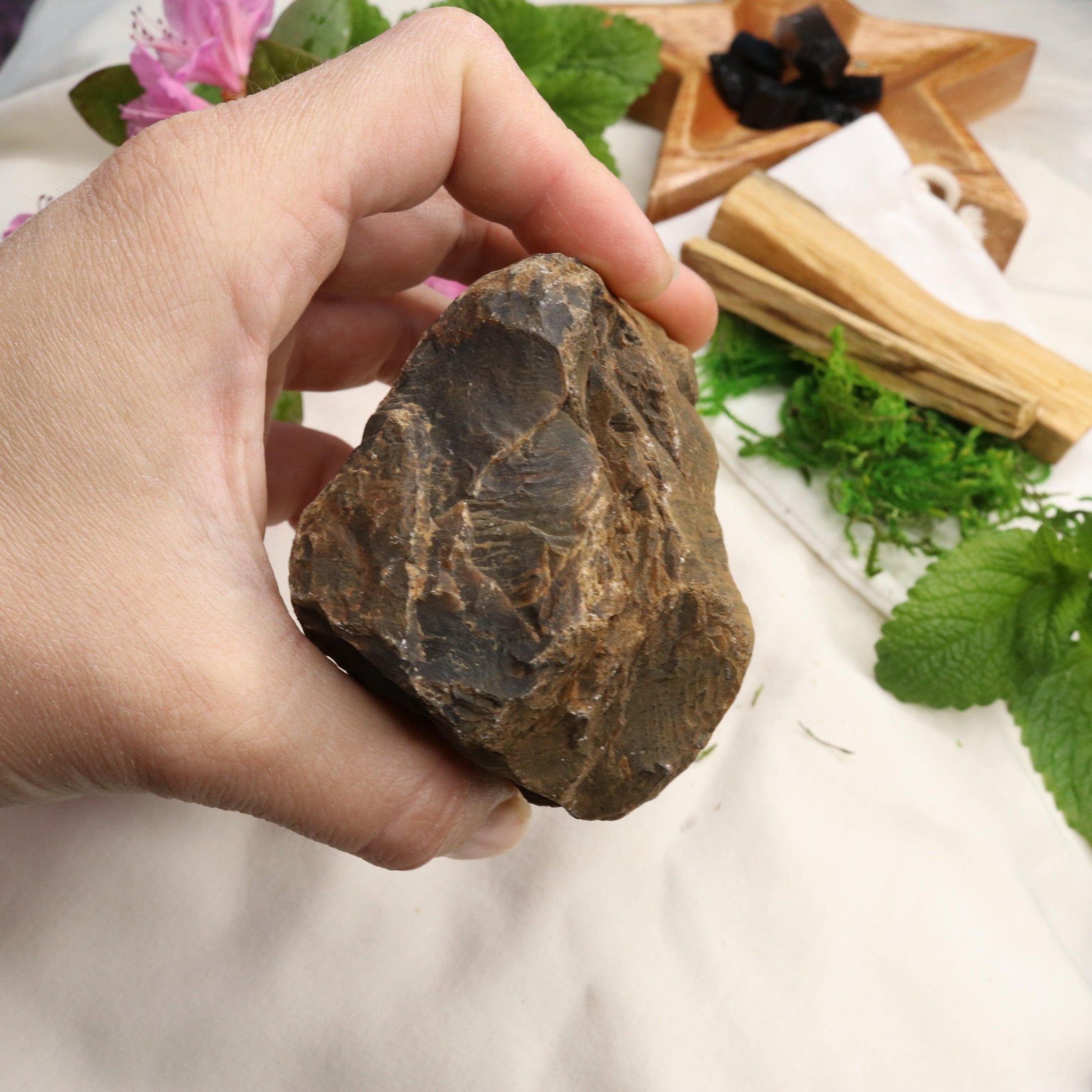Natural Petrified Wood Specimen ~ Grounding Energy - Earth Family Crystals