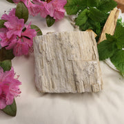 Natural Petrified Wood Specimen ~ Earthy Grounding Energy - Earth Family Crystals