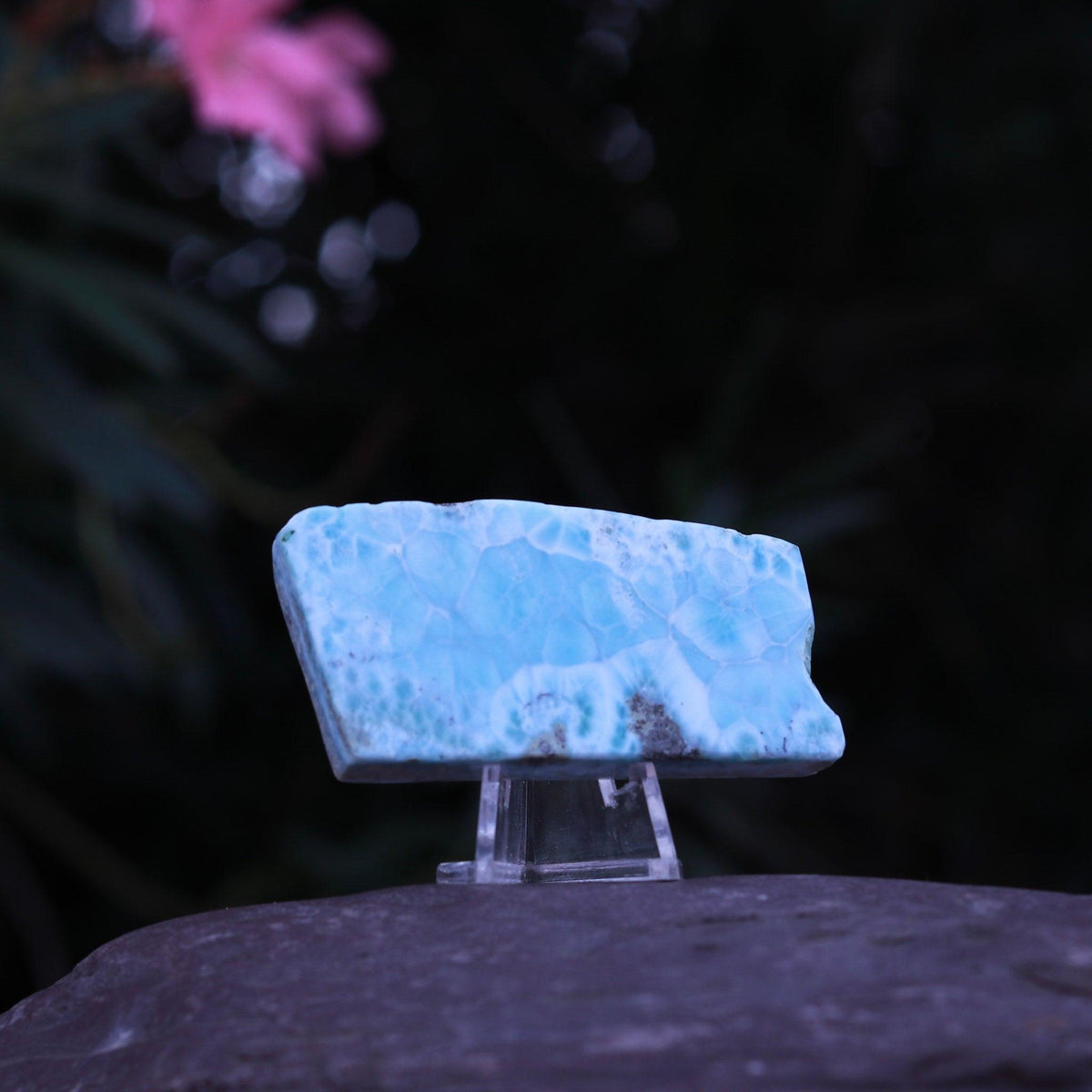 Grade A Gorgeous Display Larimar Polished Stone