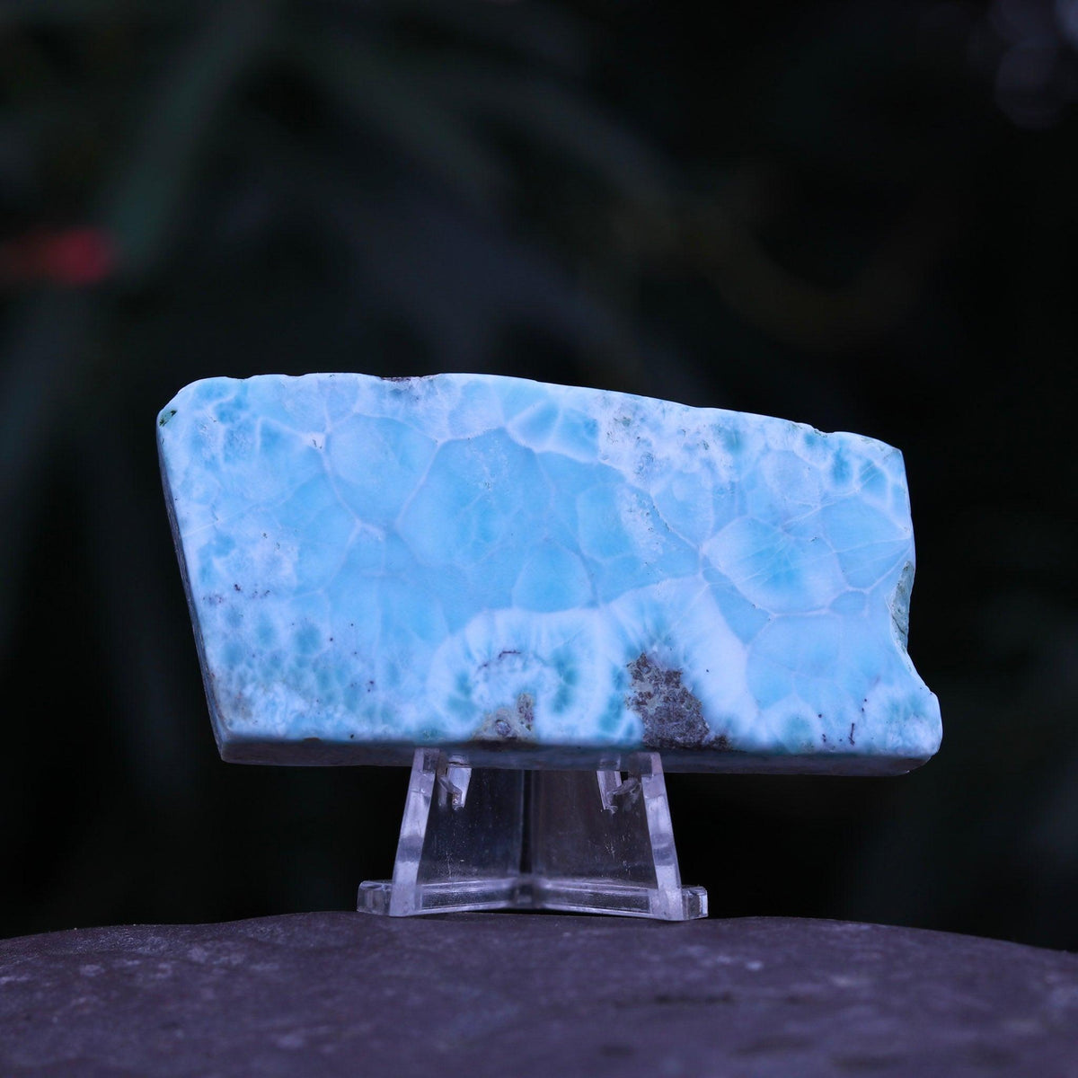 Grade A Gorgeous Display Larimar Polished Stone