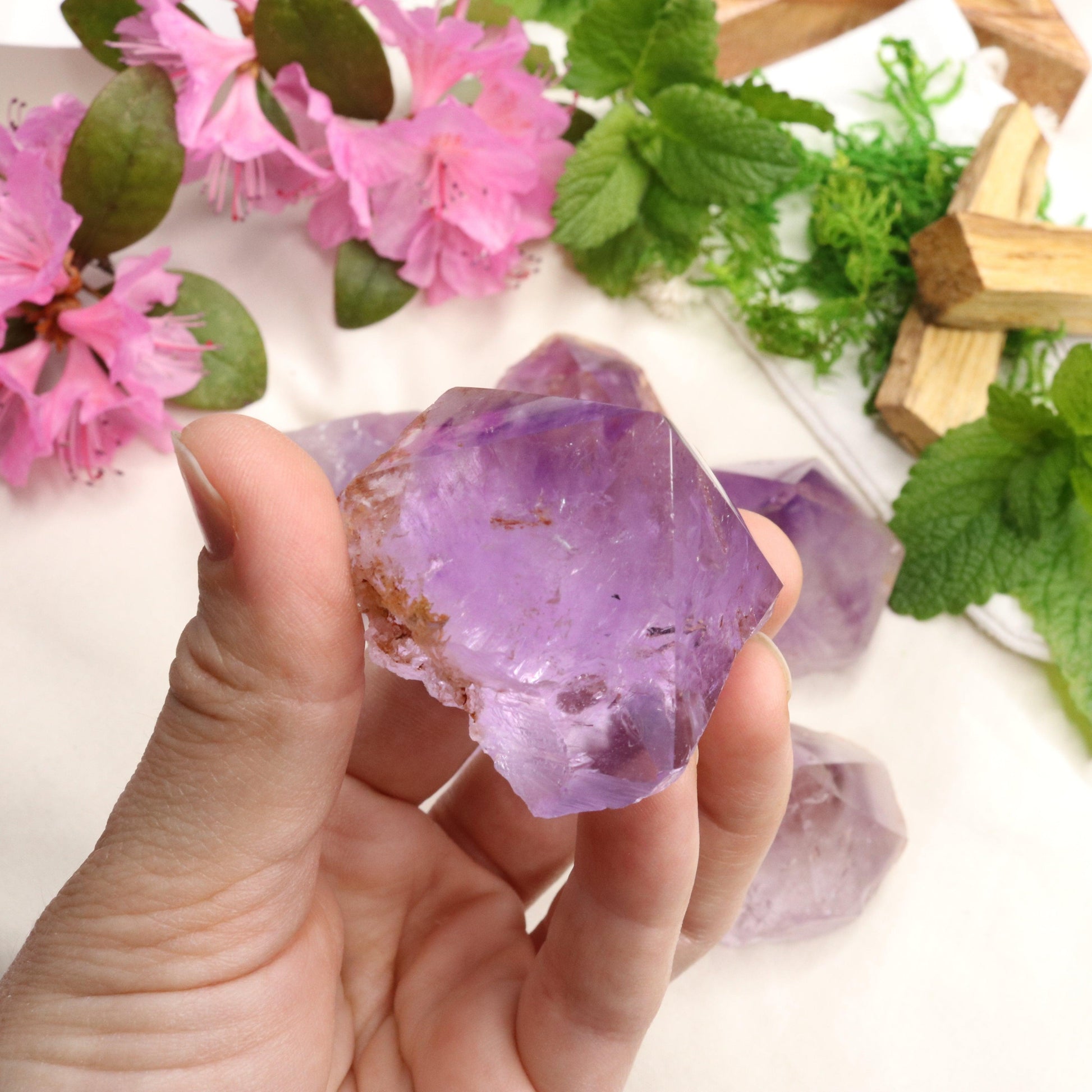 Adorable Pastel Purple Amethyst Points with Polished Top - Earth Family Crystals