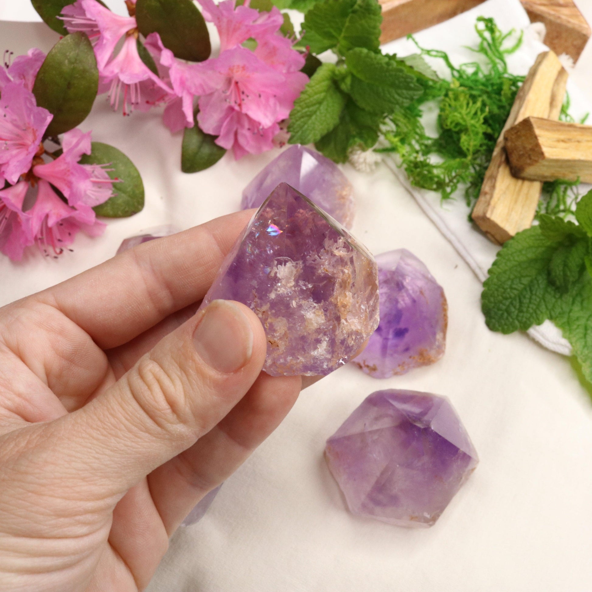 Adorable Pastel Purple Amethyst Points with Polished Top - Earth Family Crystals