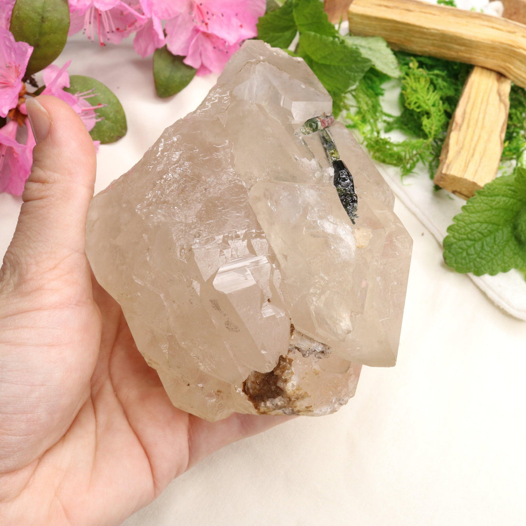 Very Unique Watermelon Tourmaline in Matrix Cathedral Quartz Point~ Balancing and Uplifting Vibrations - Earth Family Crystals