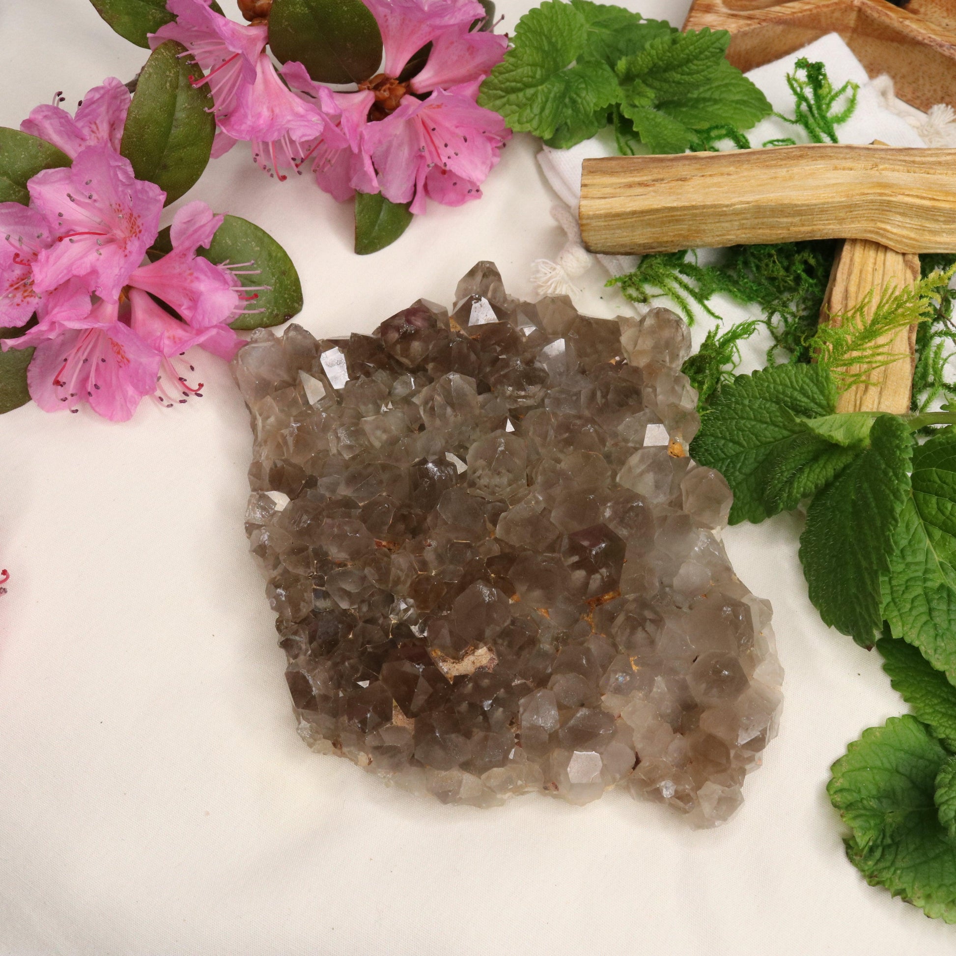 Large Grade A Smoky Quartz Cluster ~ Grounding and Meditative - Earth Family Crystals