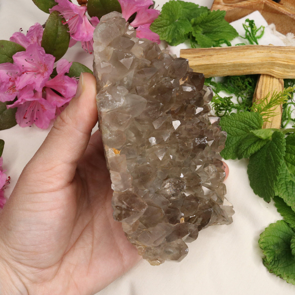 Large Grade A Smoky Quartz Cluster ~ Grounding and Meditative - Earth Family Crystals