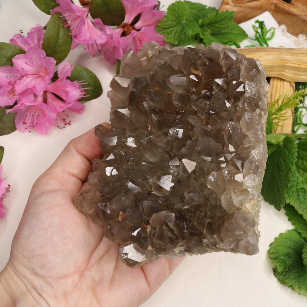 Large Grade A Smoky Quartz Cluster ~ Grounding and Meditative - Earth Family Crystals