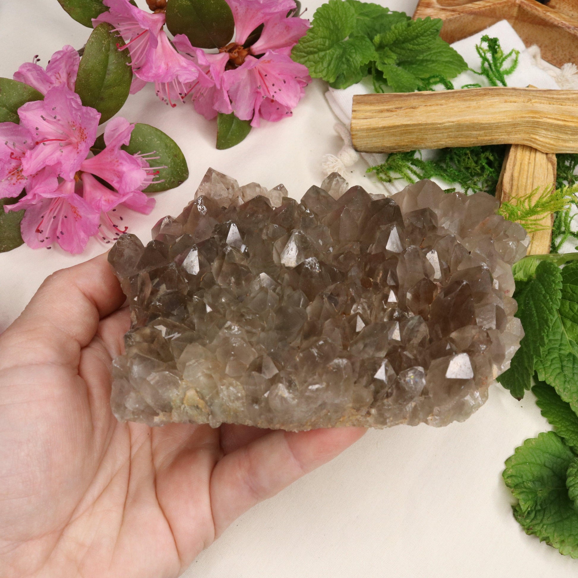 Large Grade A Smoky Quartz Cluster ~ Grounding and Meditative - Earth Family Crystals