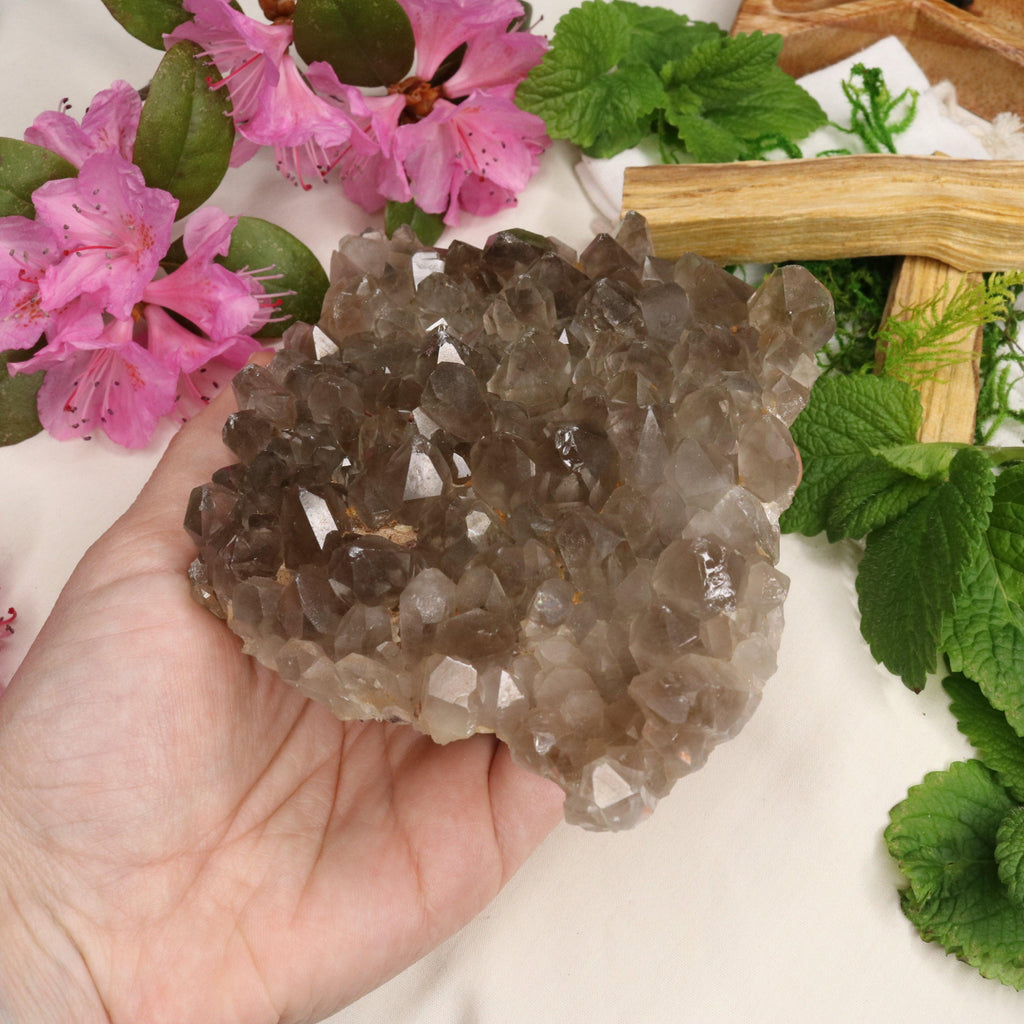 Large Grade A Smoky Quartz Cluster ~ Grounding and Meditative - Earth Family Crystals