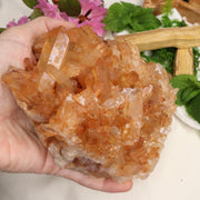 XL Tangerine Quartz Display Cluster ~ Sacral Chakra - Earth Family Crystals