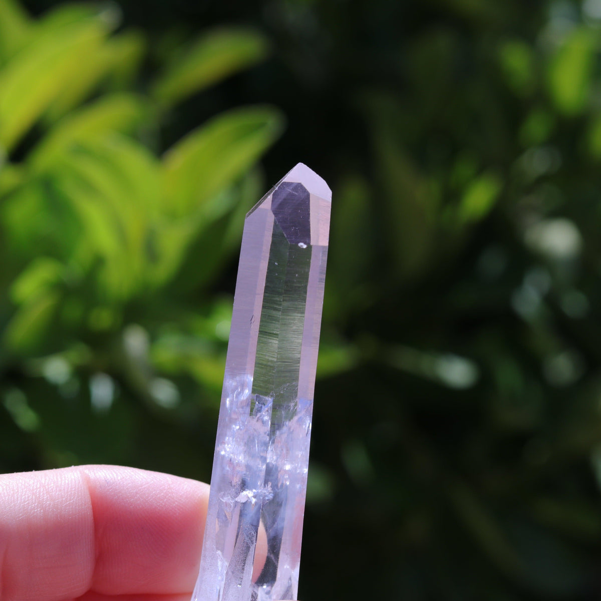 Colombian Lemurian Seed Crystal Point