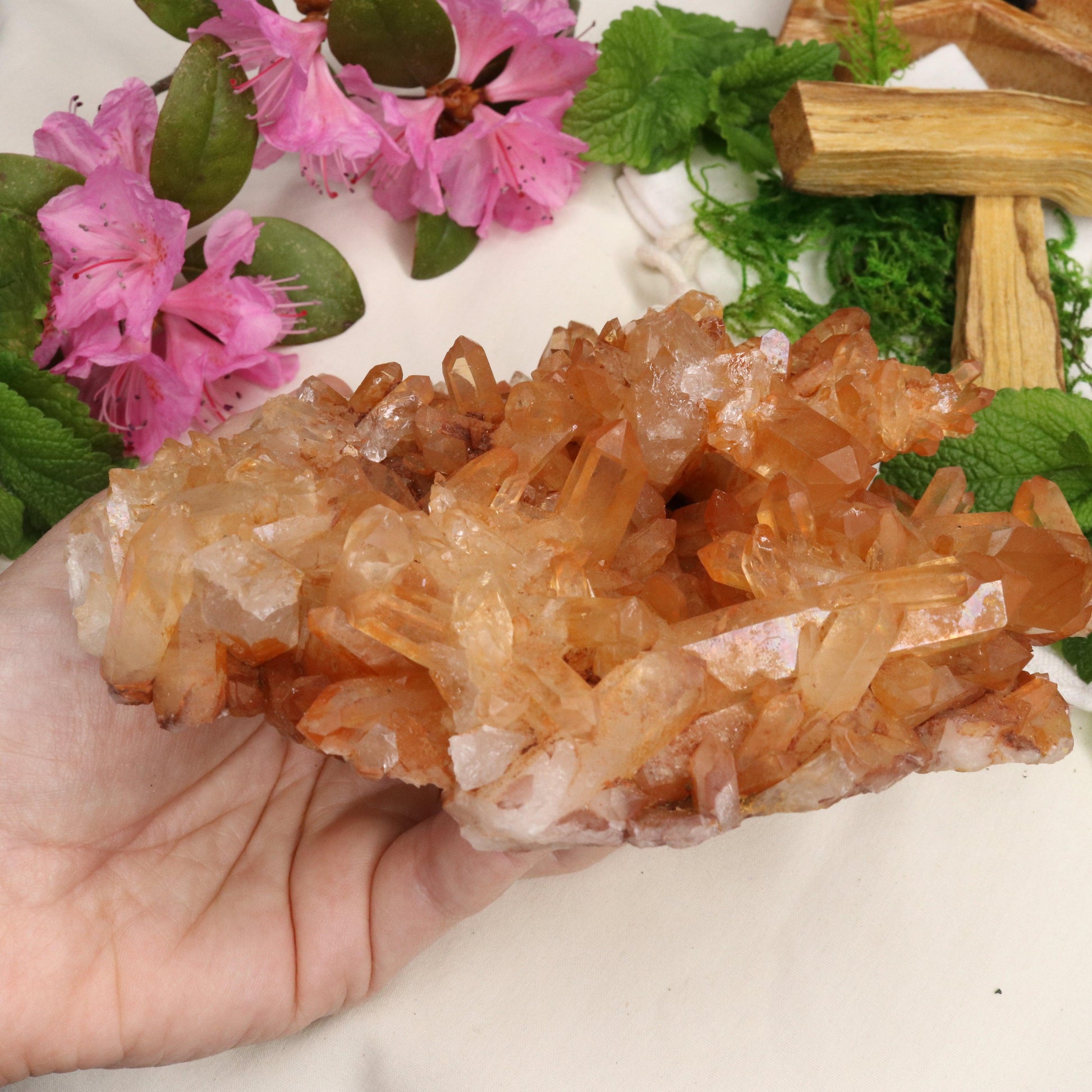 XL Tangerine Quartz Display Cluster ~ Sacral Chakra - Earth Family Crystals