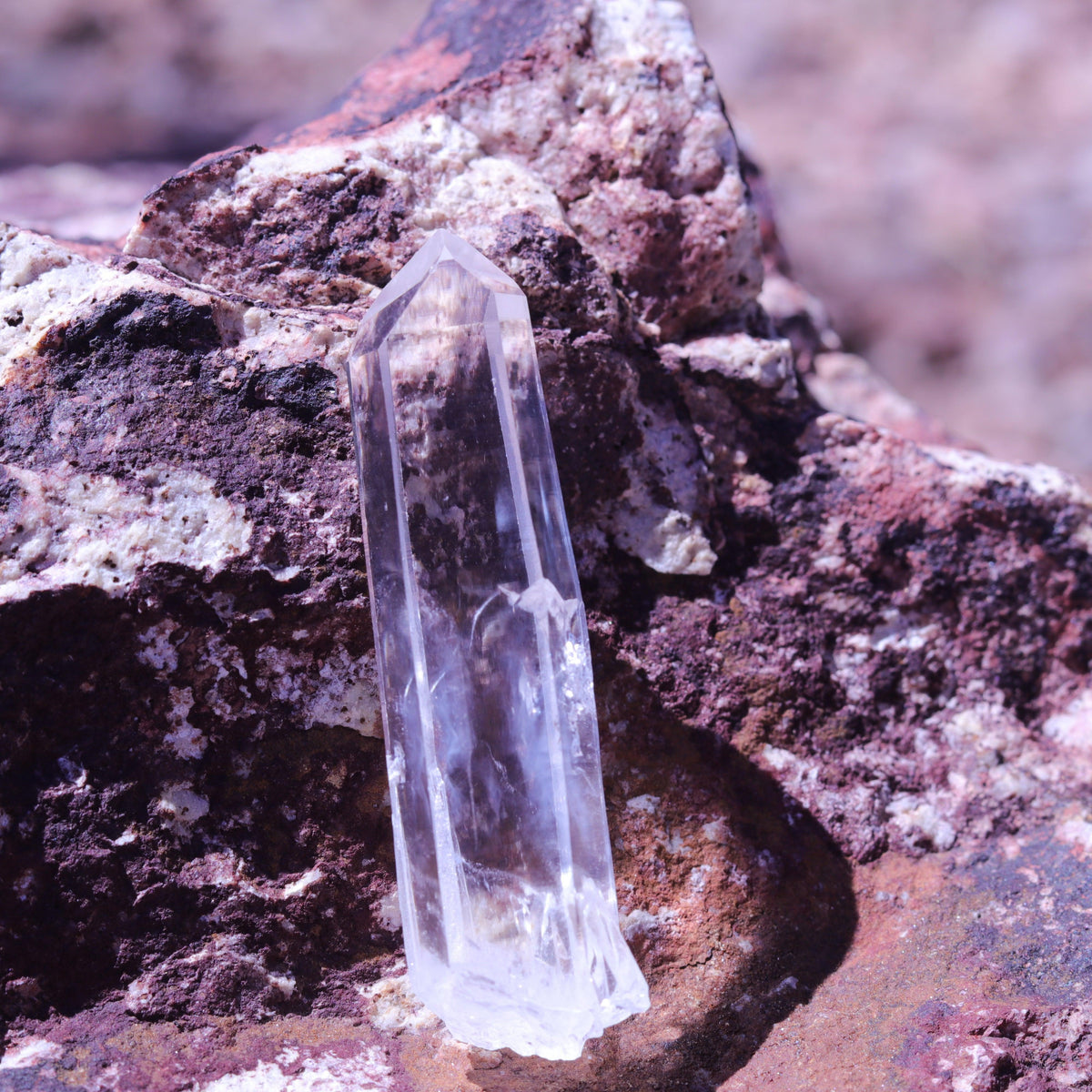 Colombian Lemurian Seed Crystal Point