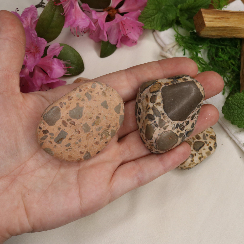 Natural Rhyolite Palm Stones - Earth Family Crystals