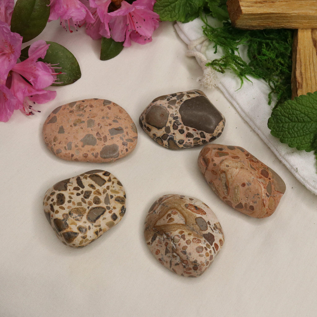 Natural Rhyolite Palm Stones - Earth Family Crystals