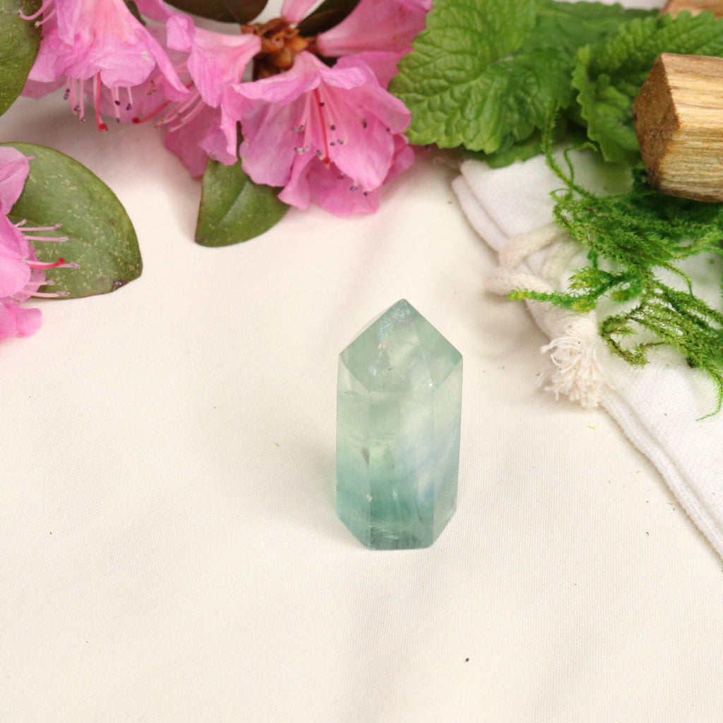 AA Grade Green/ Blue Fluorite Polished Mini Point #4 - Earth Family Crystals