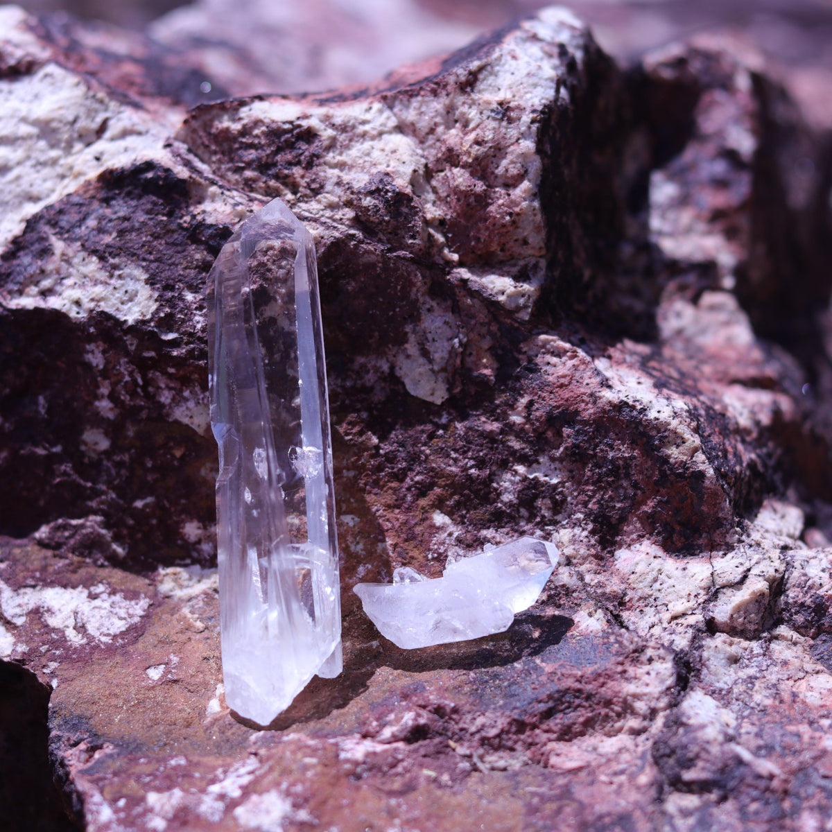 Colombian Lemurian Seed Crystal Point