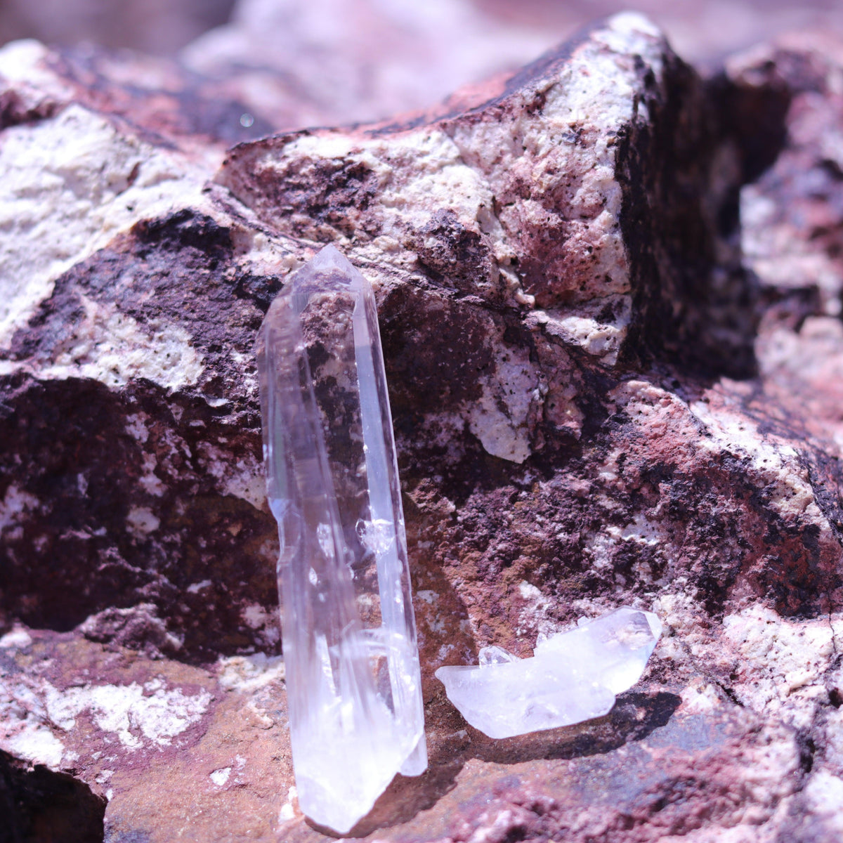 Colombian Lemurian Seed Crystal Point
