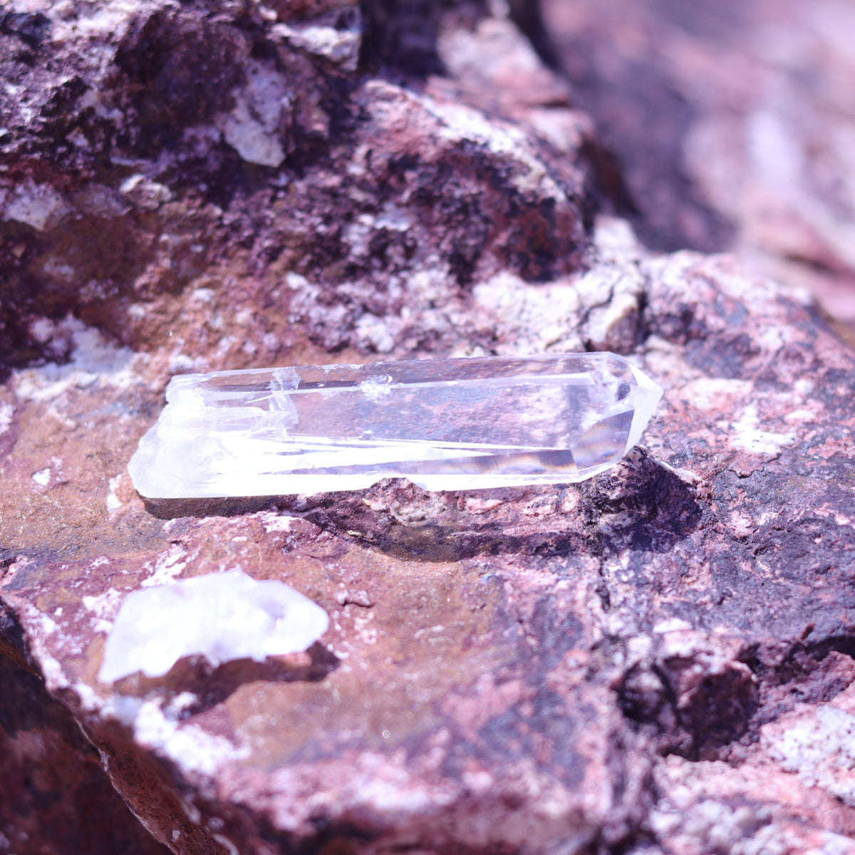 Colombian Lemurian Seed Crystal Point