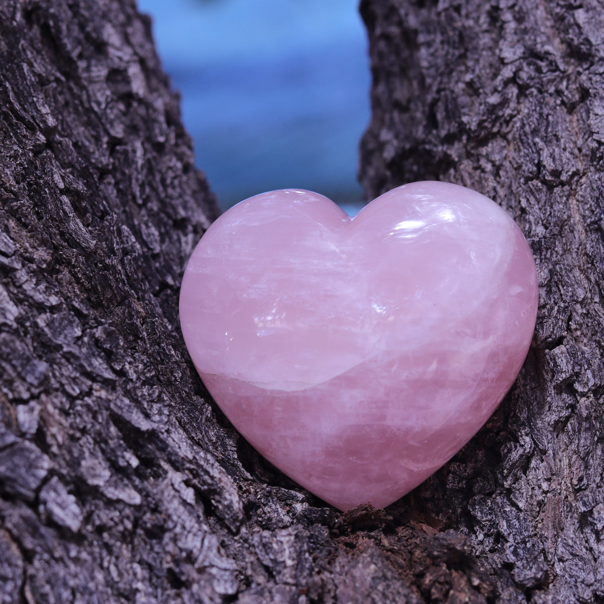 Rose Quartz Puffy Heart Carvings — Madagascar