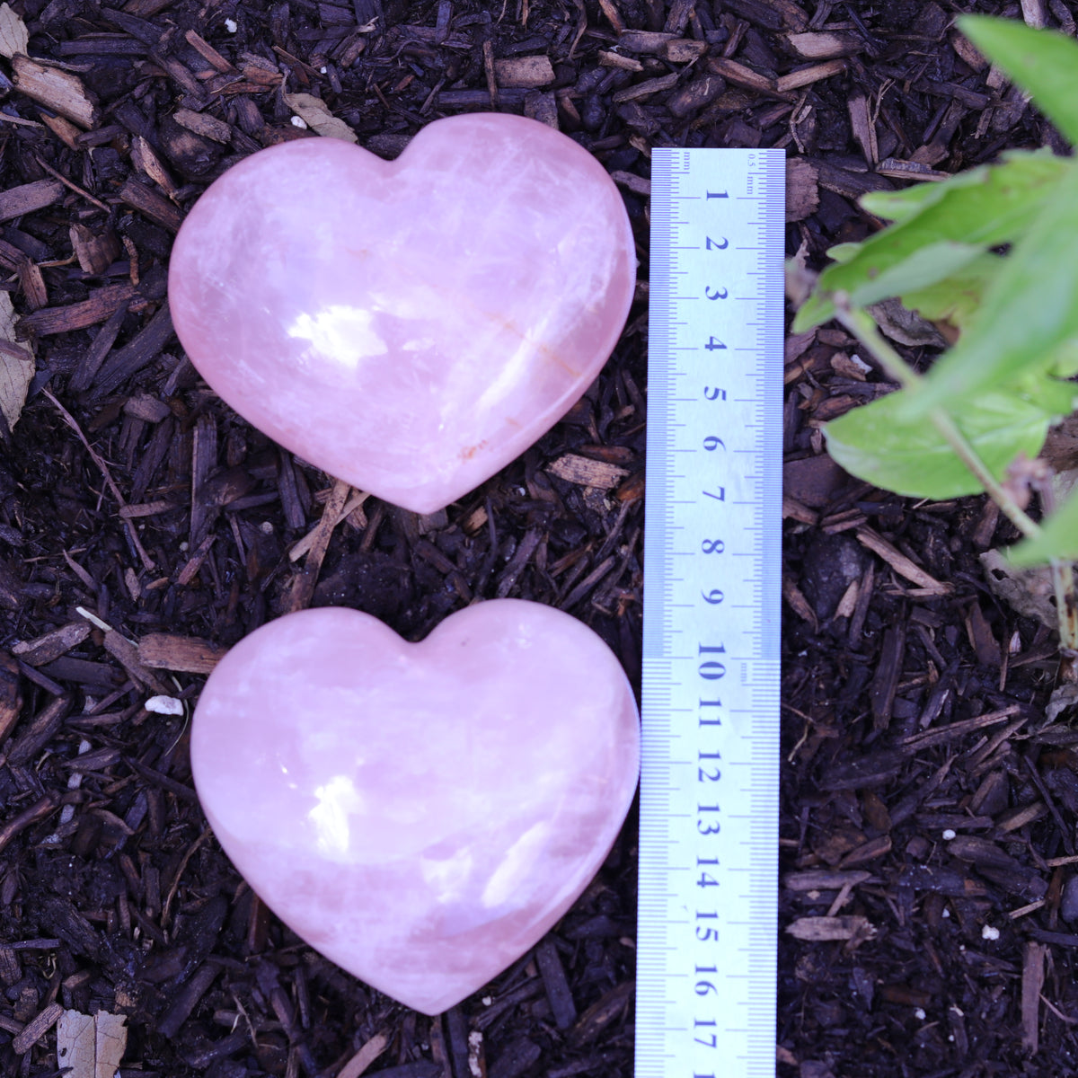 Rose Quartz Puffy Heart Carvings — Madagascar