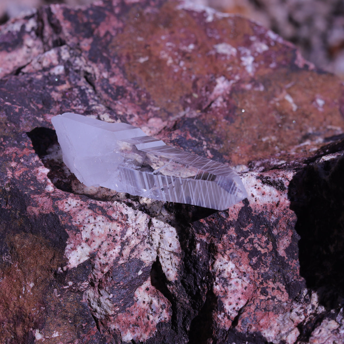 Colombian Lemurian Seed Crystal Point