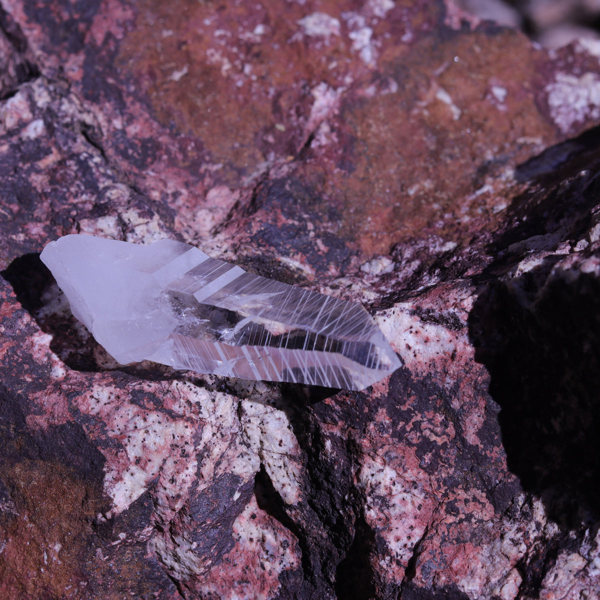 Colombian Lemurian Seed Crystal Point