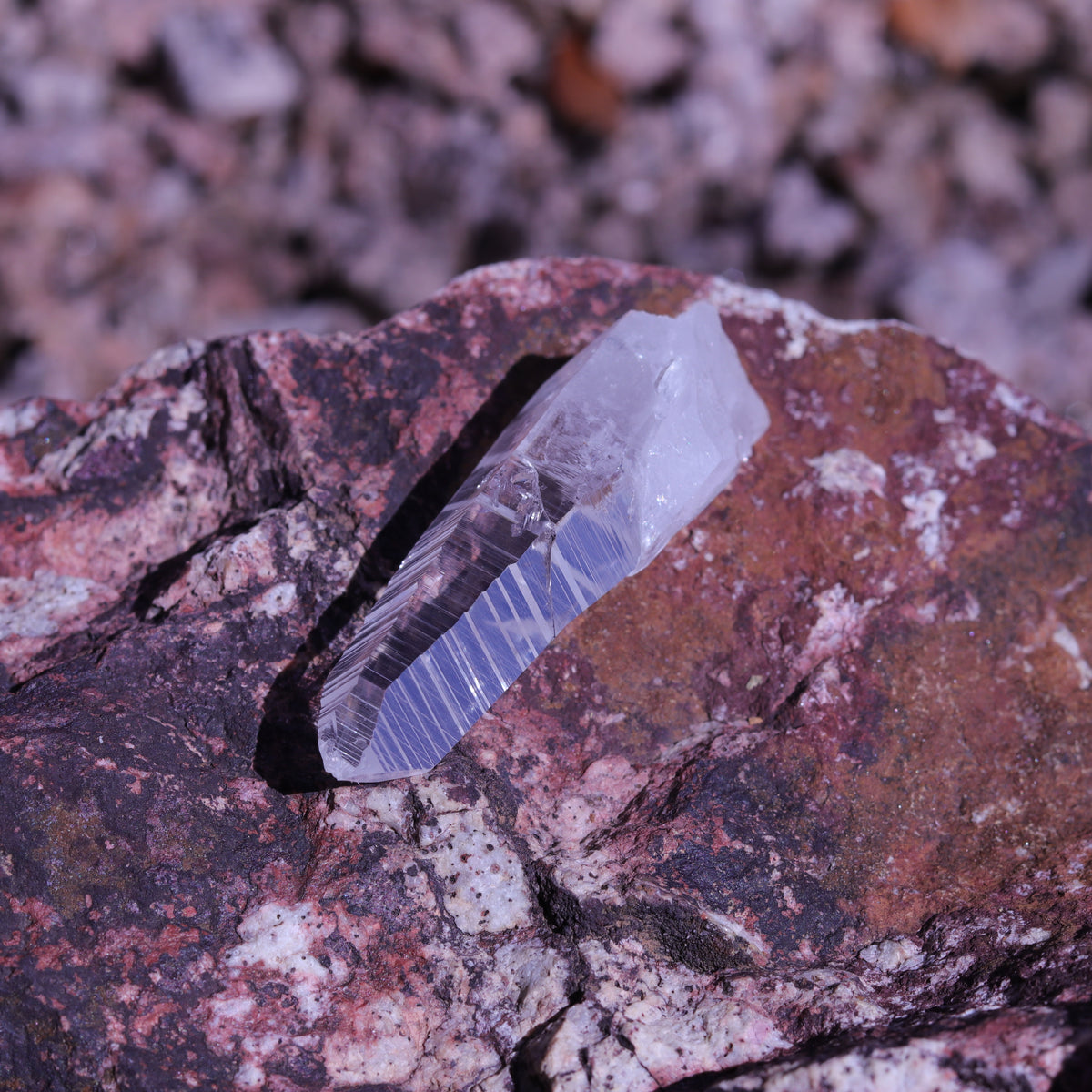 Colombian Lemurian Seed Crystal Point