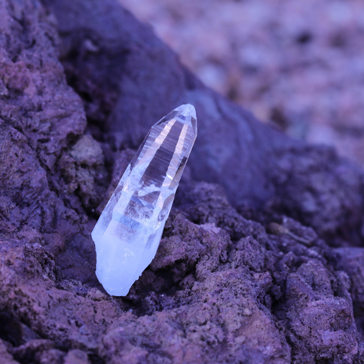 Colombian Lemurian Seed Crystal Point