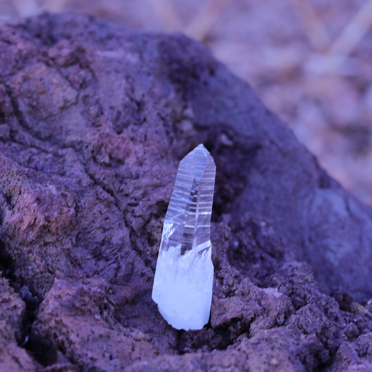 Colombian Lemurian Seed Crystal Point