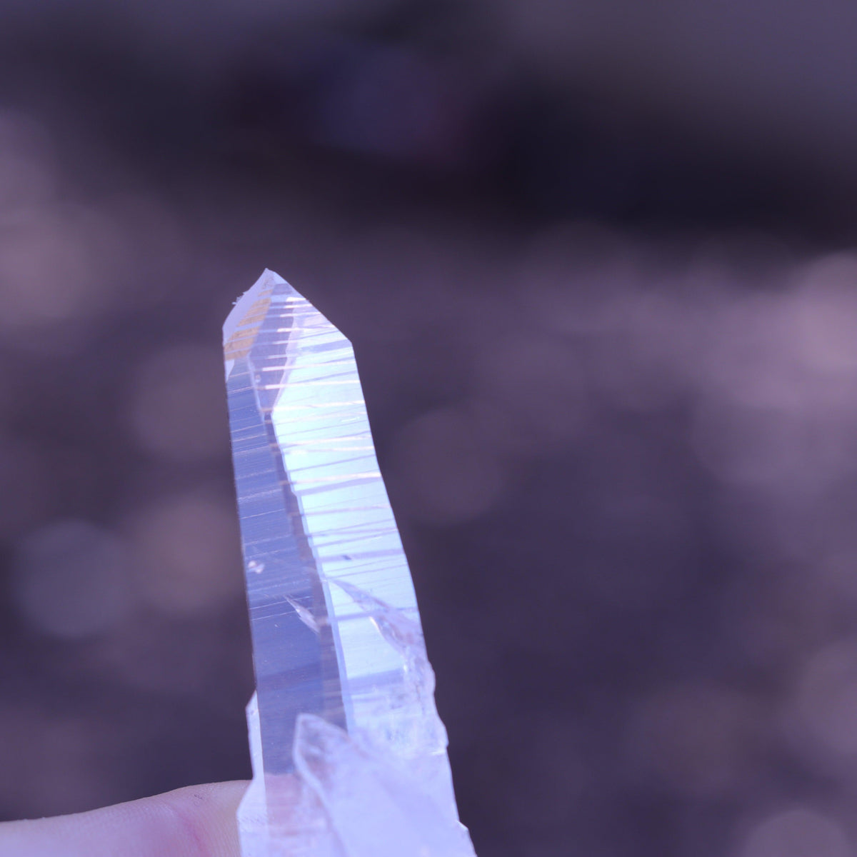 Colombian Lemurian Seed Crystal Point