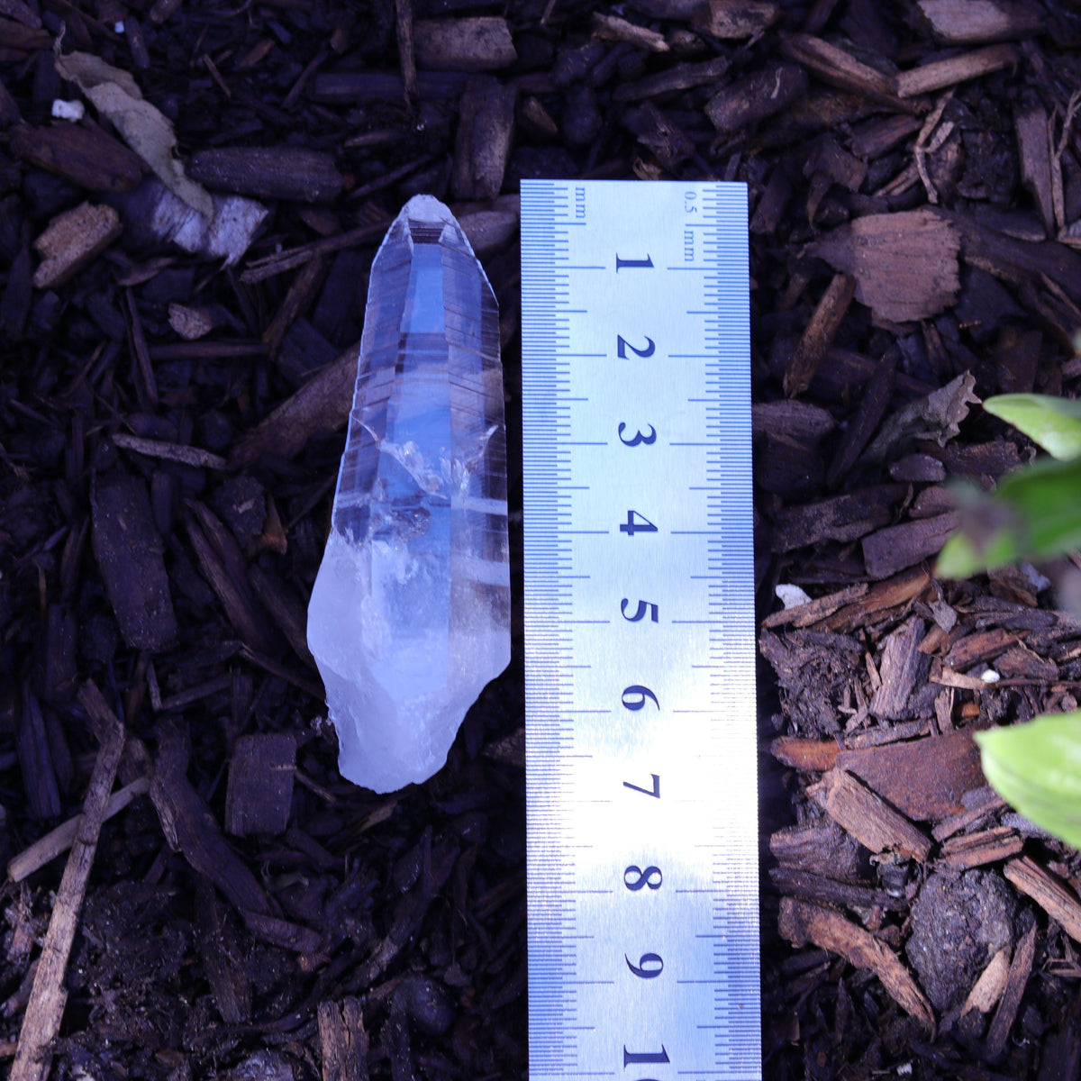Colombian Lemurian Seed Crystal Point