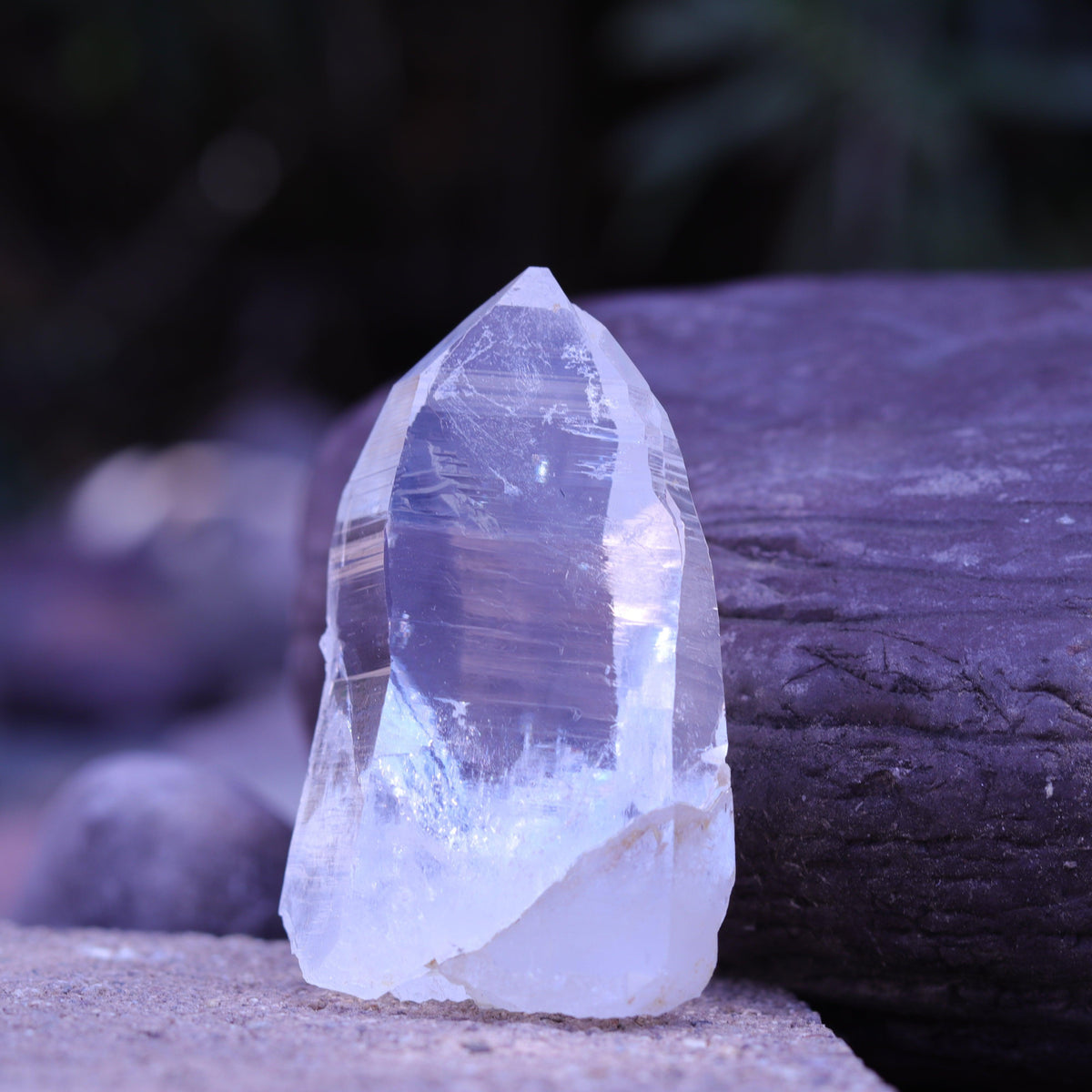 Large Lemurian Seed Clear Quartz Crystal Point