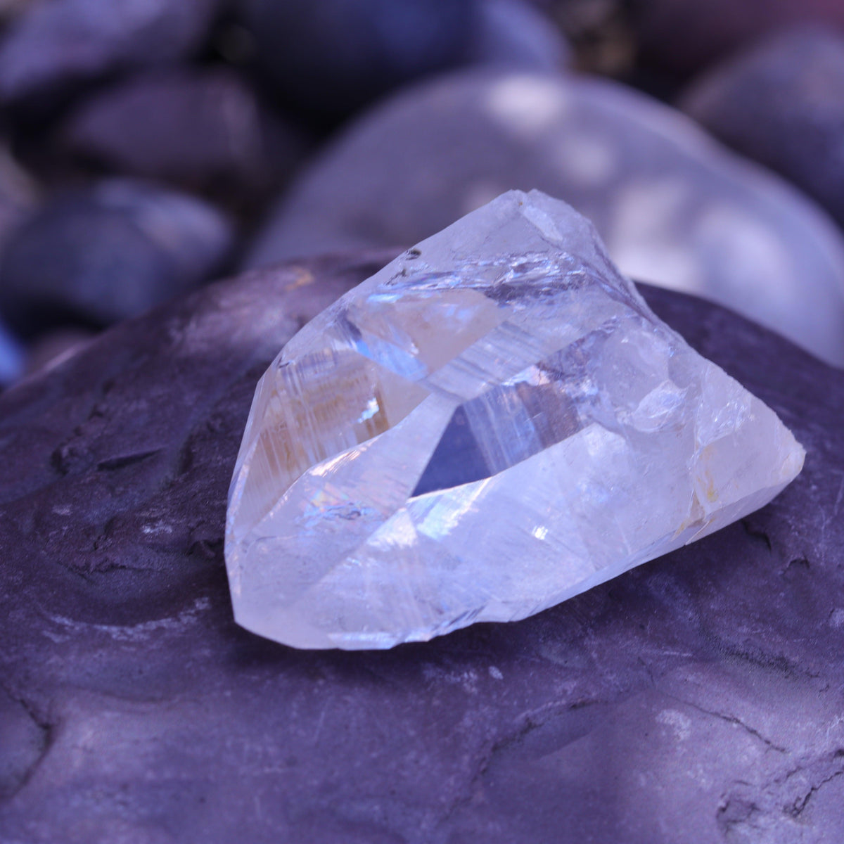 Large Lemurian Seed Clear Quartz Crystal Point